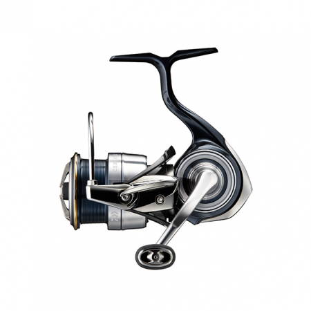 CERTATE LT NEW 19'